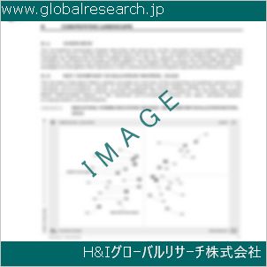 グローバルリサーチ調査資料のイメージ